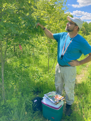 Biology Prof John Lill in a blue shirt and khakis in a field and point into tree branches.
